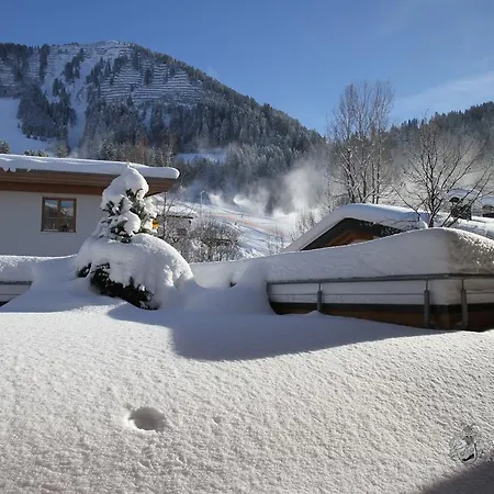 Alpen-Suite Riezlern Room photo